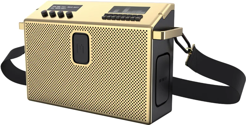 Mondo BT Högtalare Large Mässing/Svart - 8071452