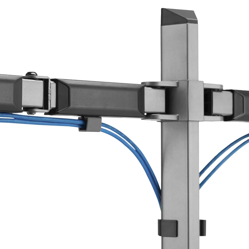 White Shark AMENHOTEP II Dubbel Monitorfäste VESA 100/32