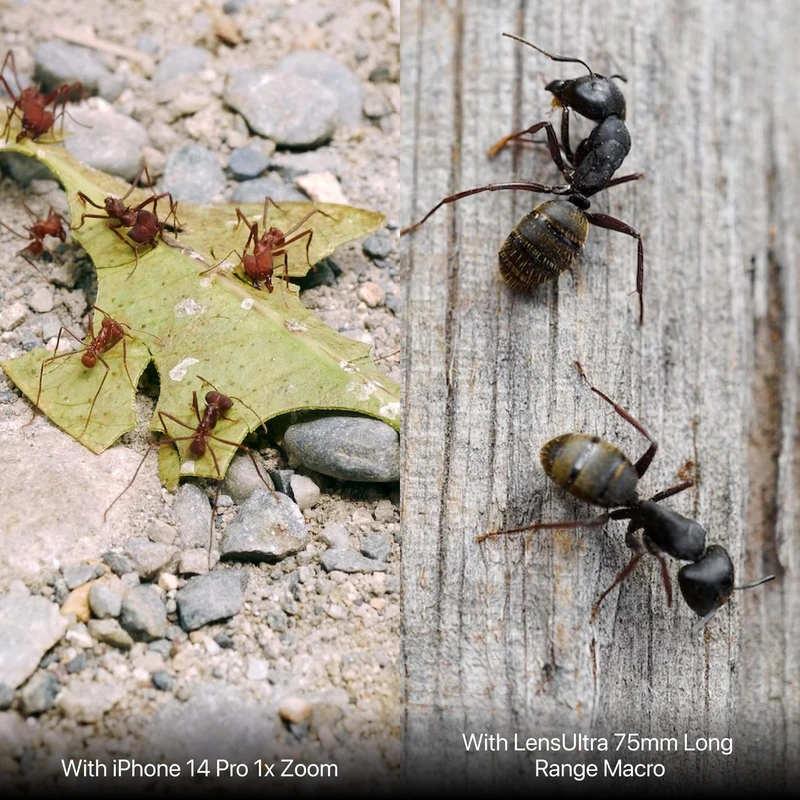 Shiftcam LensUltra 75mm Macro S-fäste kompatibel Svart - 2966807