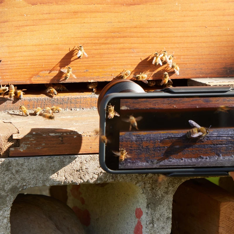 Shiftcam LensUltra 75mm Macro S-fäste kompatibel Svart - 2966807